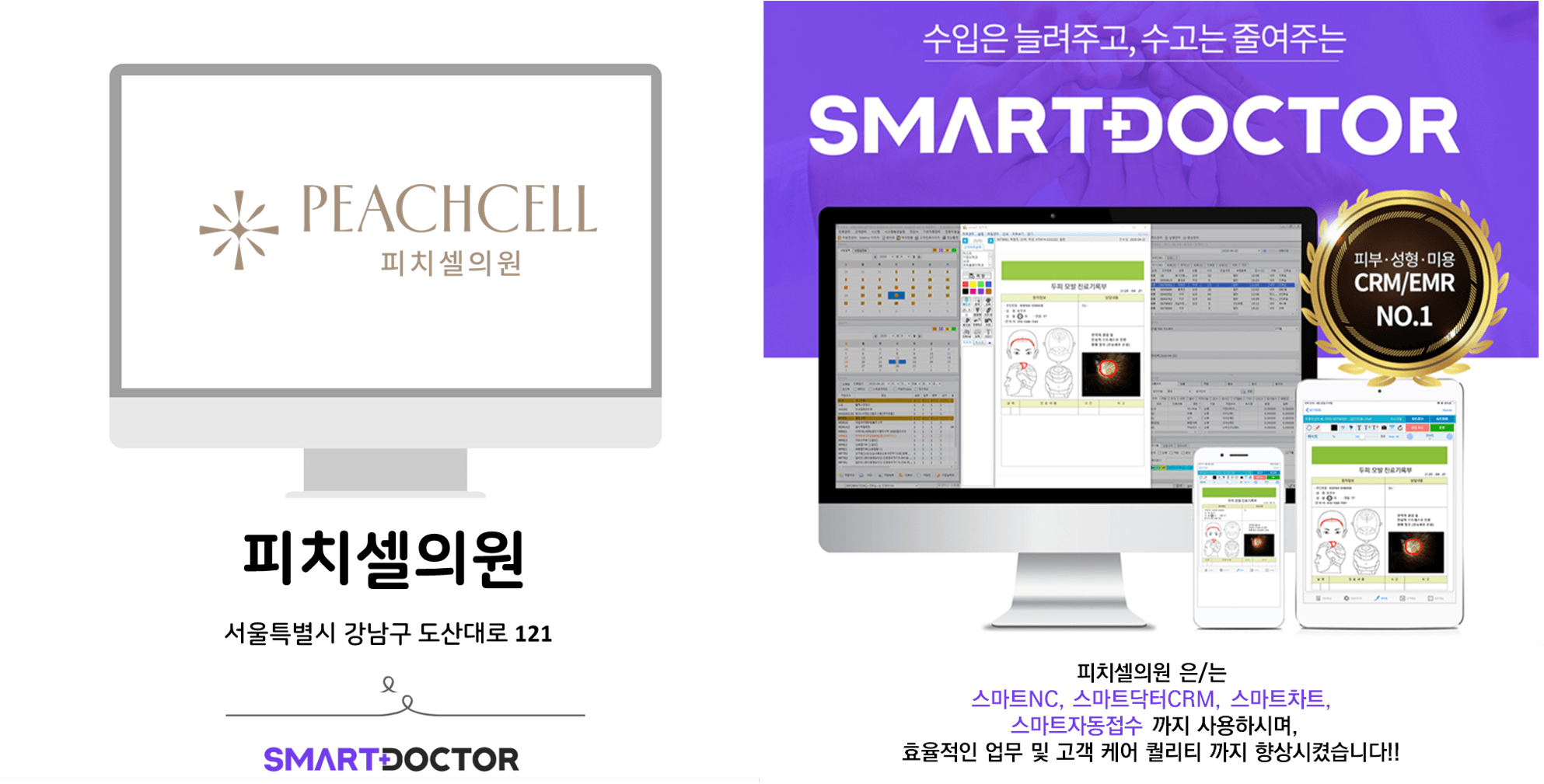 피치셀의원